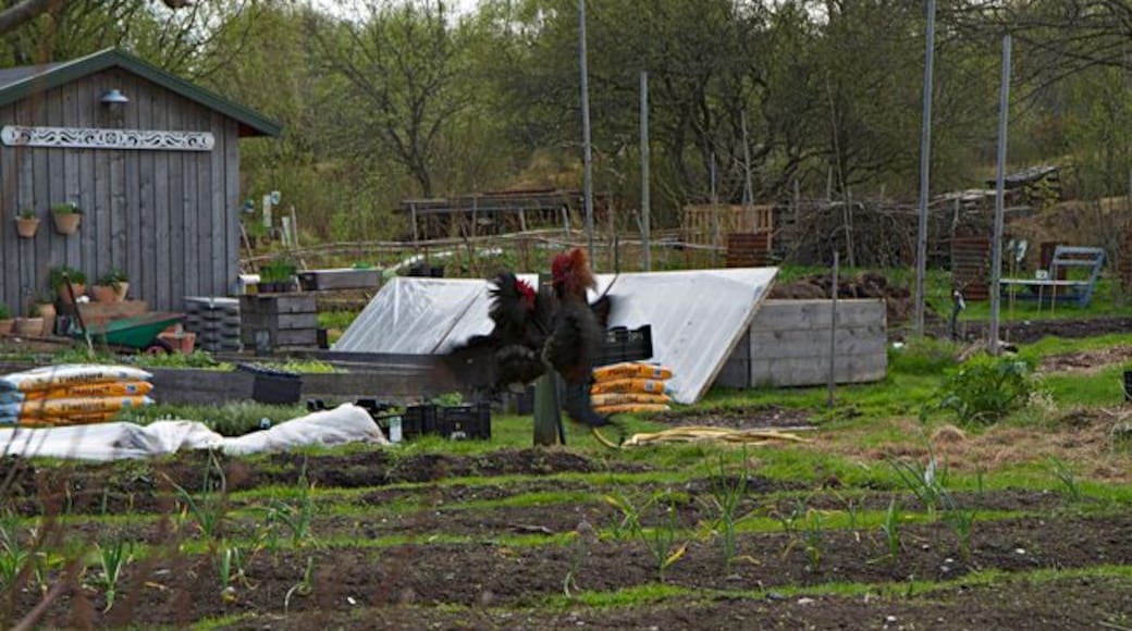Koster gardens a nice place to visit and have lunch.