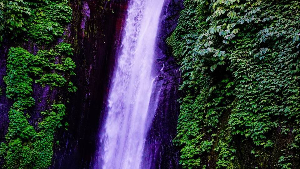 A waterfall surrounded by lush green foliage.