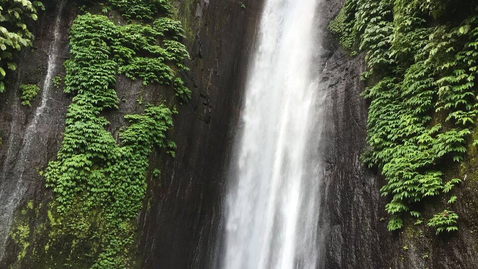 A waterfall cascading down a moss-covered cliff surrounded by lush greenery.