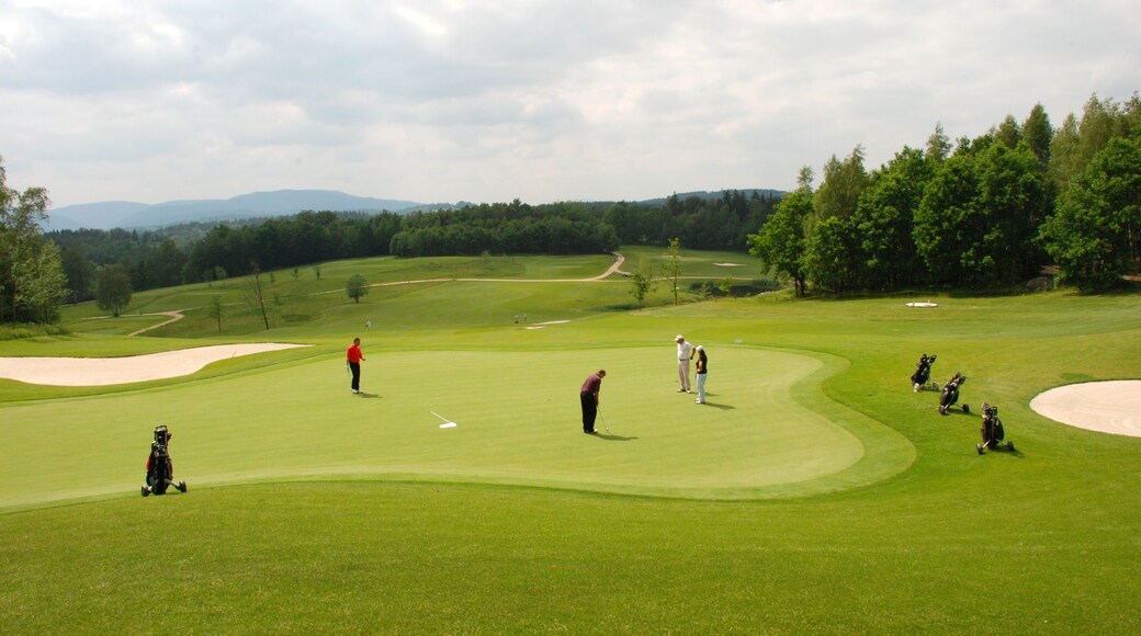 The Traces golfklubb