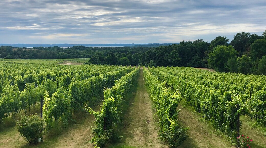 The winery has a deck around the back side that offers up this stunning view.