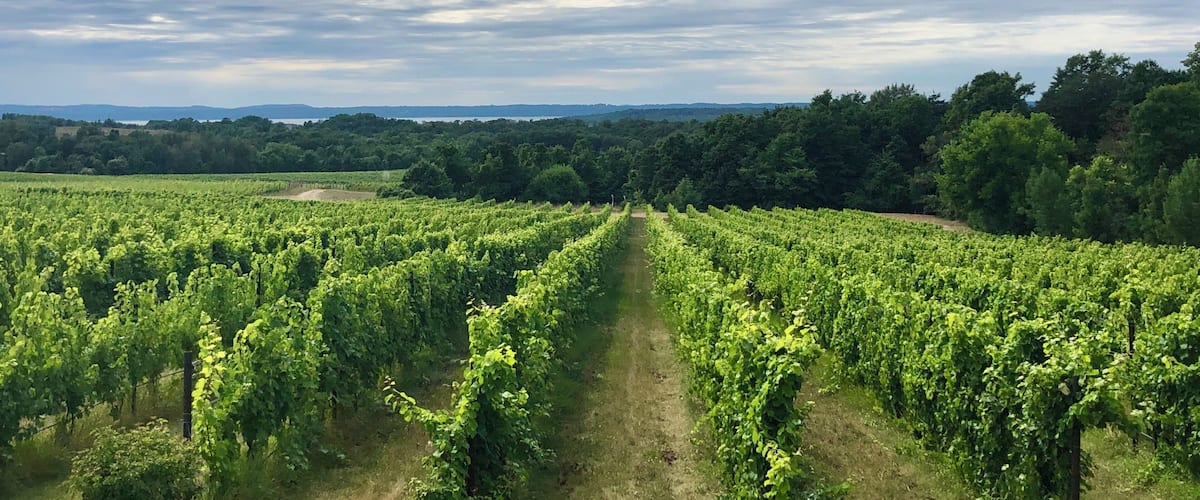The winery has a deck around the back side that offers up this stunning view.