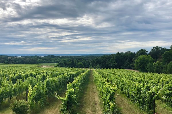 The winery has a deck around the back side that offers up this stunning view.