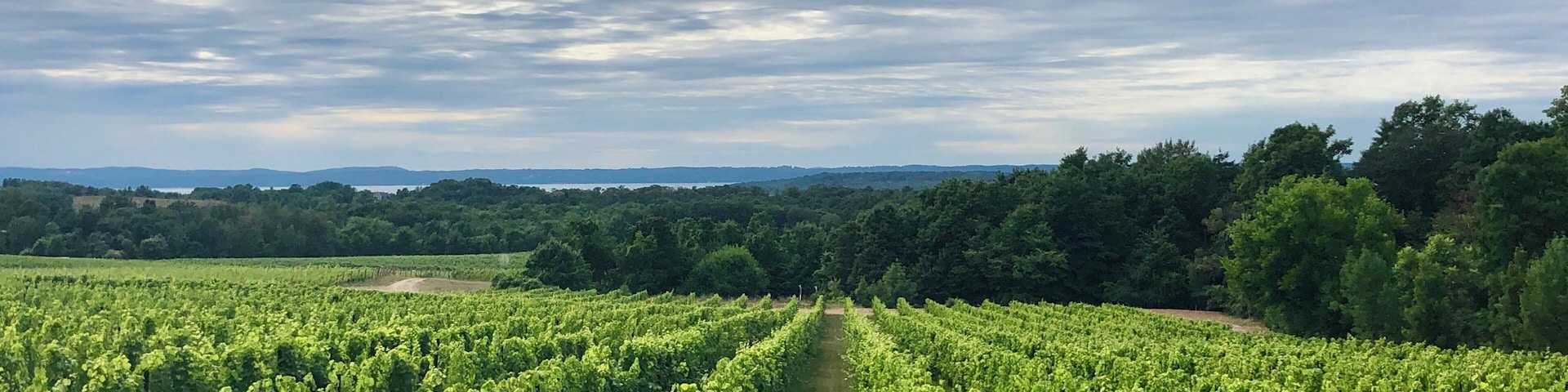 The winery has a deck around the back side that offers up this stunning view.