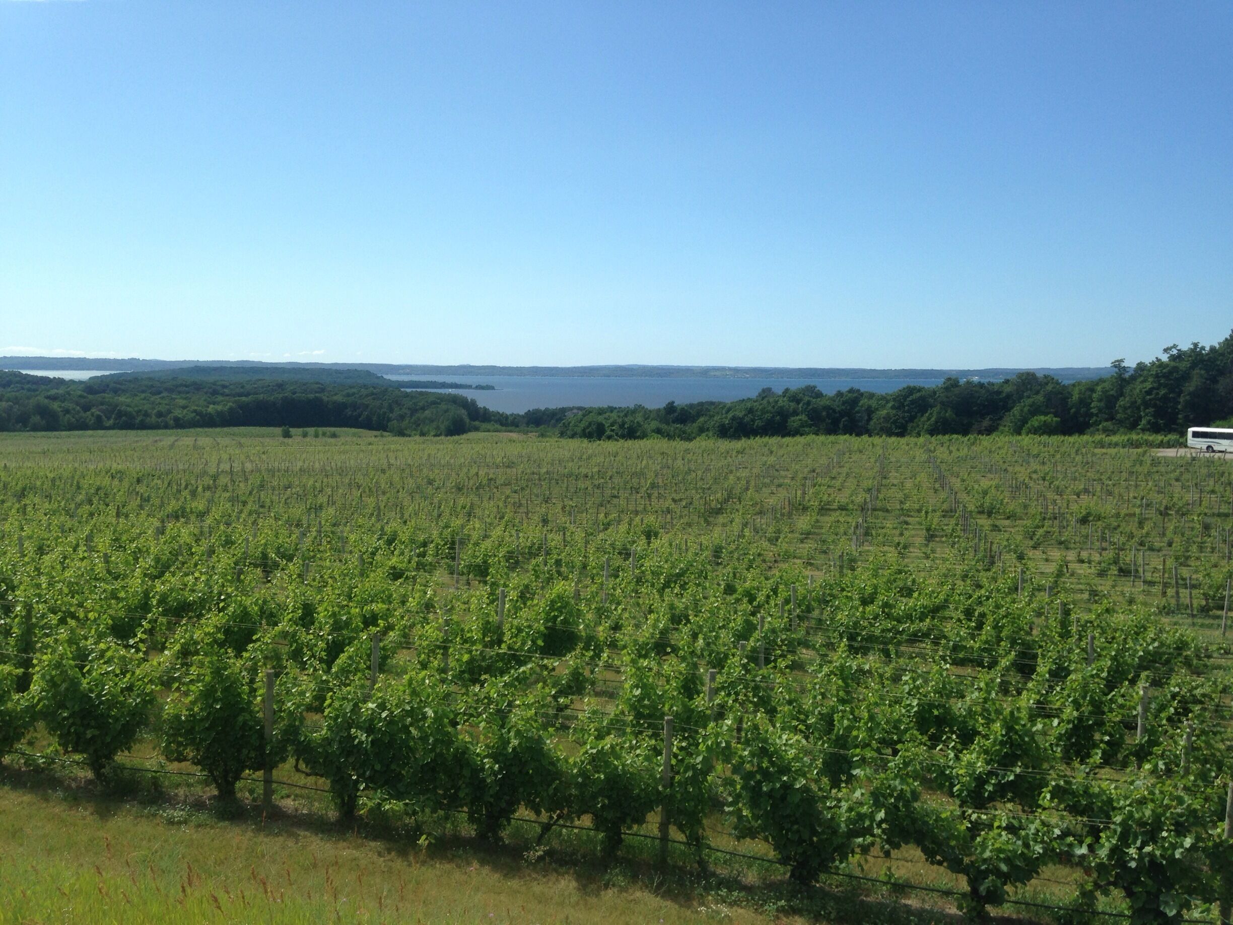 More tastings!!!  Chateau Grand Traverse, Traverse City, MI!!!

Excellent place for a #WeekendGetaway with the ladies!

#girlsweekend #upnorth #mittenlove #girlsjustwannahavefun #travel #diagnosiswanderlust #travelblogger #summerbucketlist #TC #traversecity #wanderlust  #waterlust #puremichigan #DowntownTC 
#weekendgetaway

