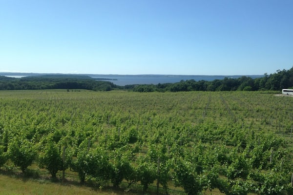 More tastings!!! Chateau Grand Traverse, Traverse City, MI!!!
Excellent place for a #WeekendGetaway with the ladies!
#girlsweekend #upnorth #mittenlove #girlsjustwannahavefun #travel #diagnosiswanderlust #travelblogger #summerbucketlist #TC #traversecity #wanderlust #waterlust #puremichigan #DowntownTC
#weekendgetaway