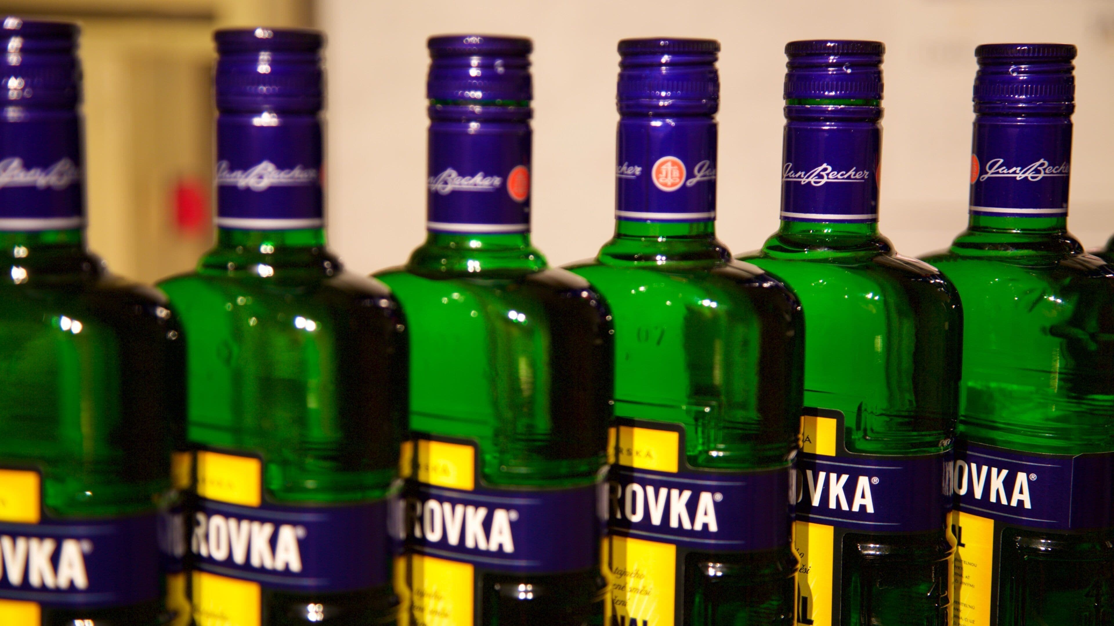 Jan Becher Museum showing drinks or beverages