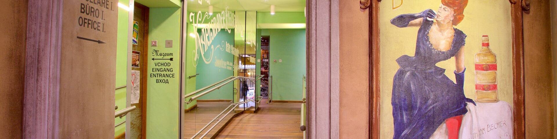 Jan Becher Museum which includes interior views