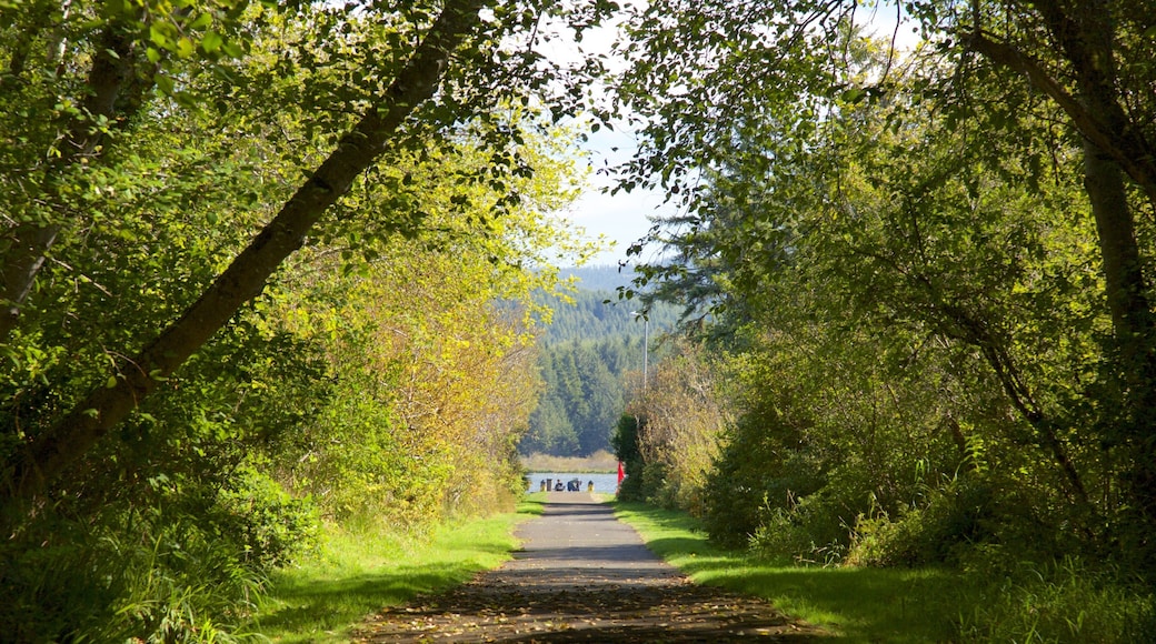 デヴィルズ レイク州立保養地 表示 森林 と 庭園