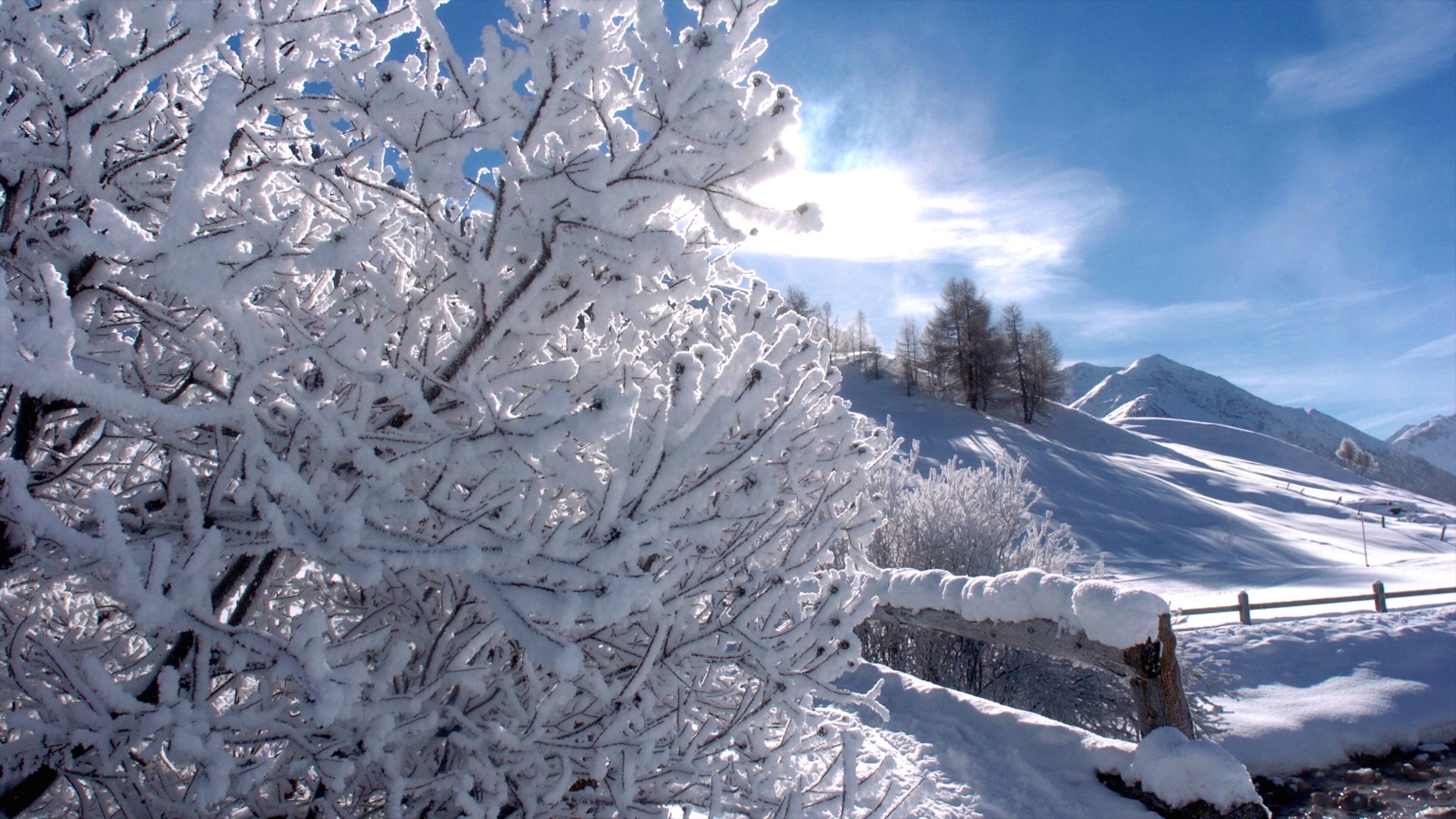 Livigno Ski Area featuring tranquil scenes and snow