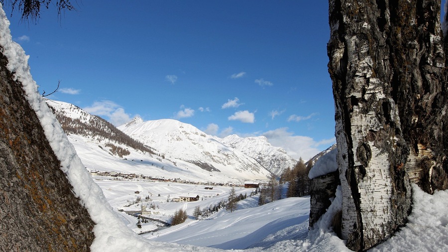 Livigno Ski Area which includes snow, tranquil scenes and mountains
