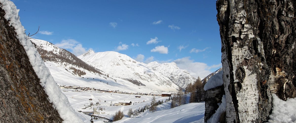 A snow-covered mountain landscape with a clear blue sky, a village in the valley, and birch trees.