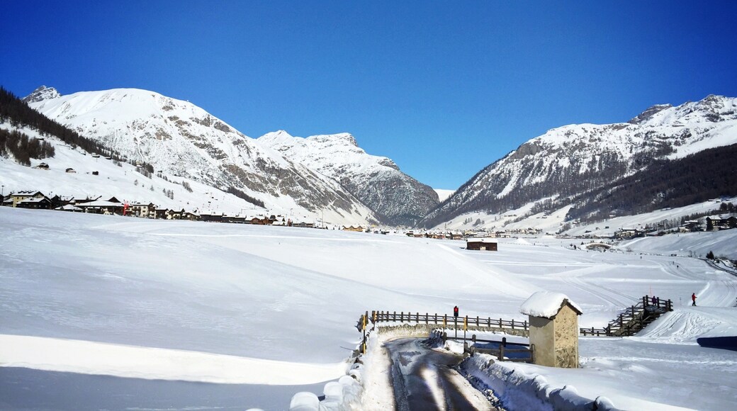 Livigno Ski Area showing tranquil scenes, landscape views and snow