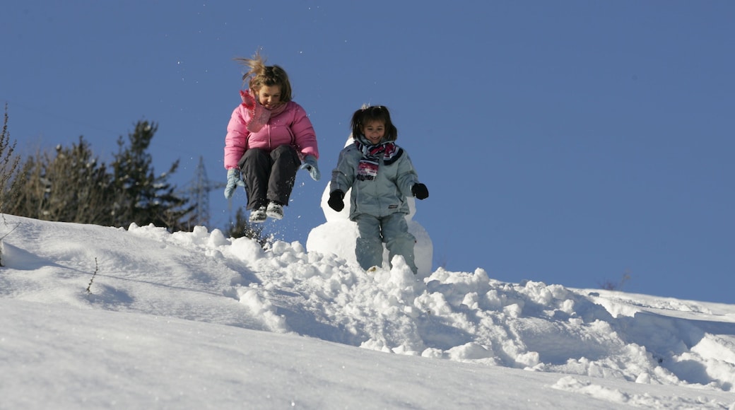 Comprensorio sciistico di Livigno mostrando neve cosi come bambini