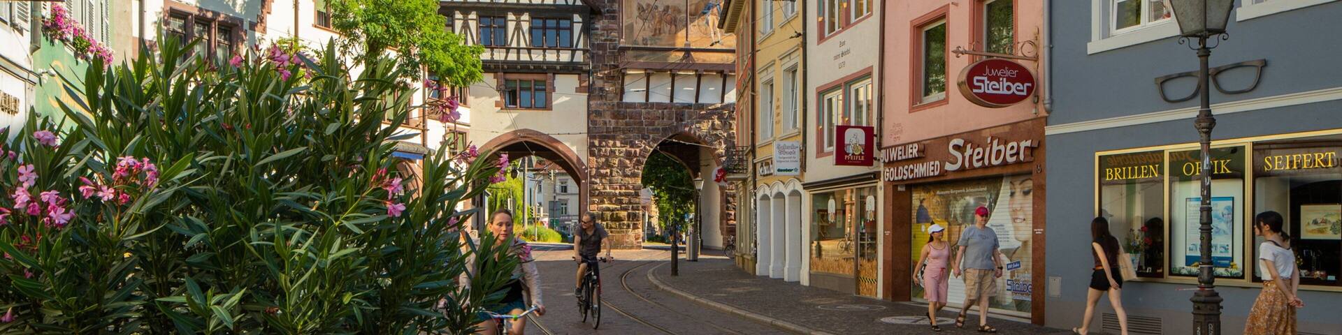 Schwabentor Gate showing wildflowers and heritage elements
