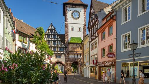 Schwabentor Gate showing wildflowers and heritage elements