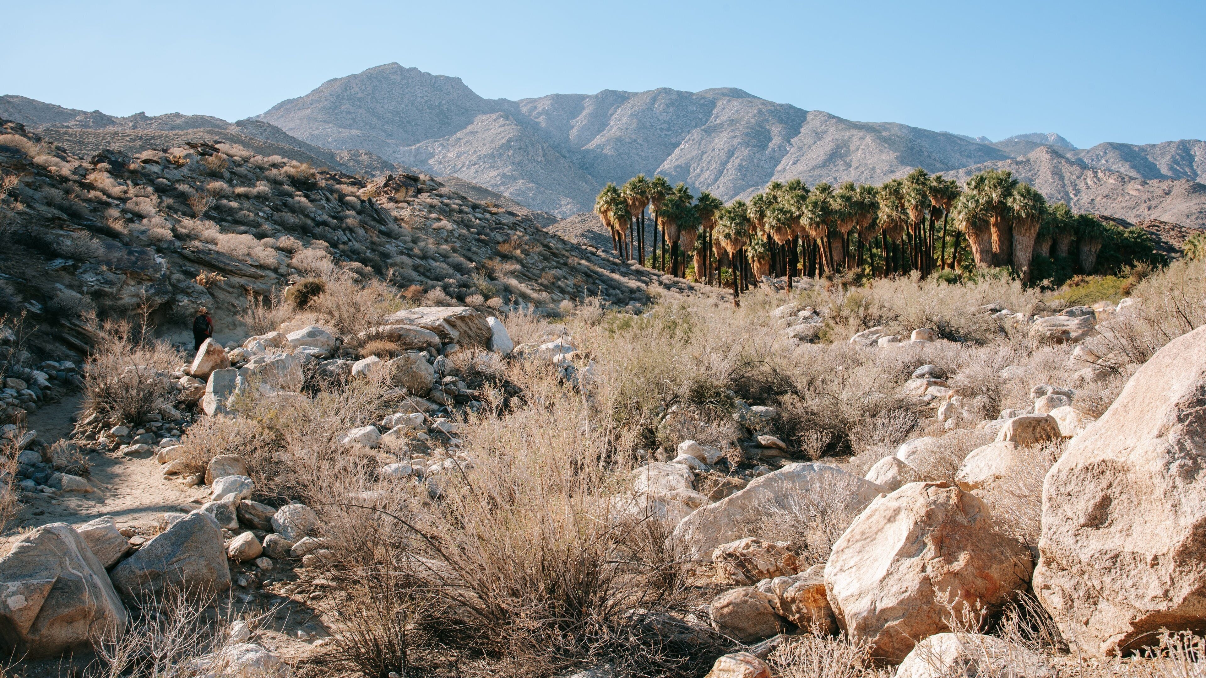 Indian Canyon showing landscape views, tranquil scenes and desert views