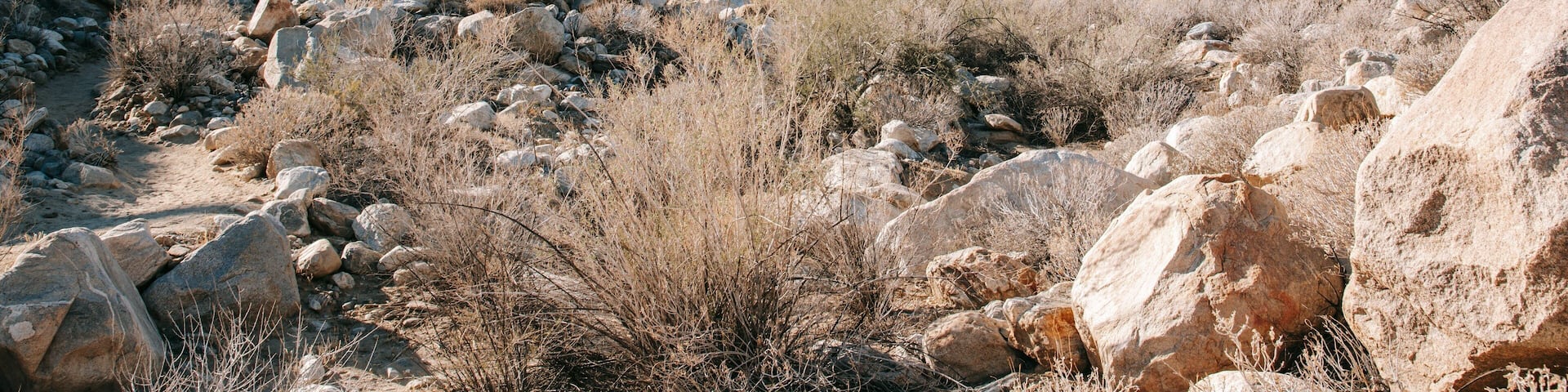 Indian Canyon showing landscape views, tranquil scenes and desert views
