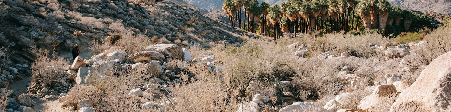 Indian Canyon showing landscape views, tranquil scenes and desert views