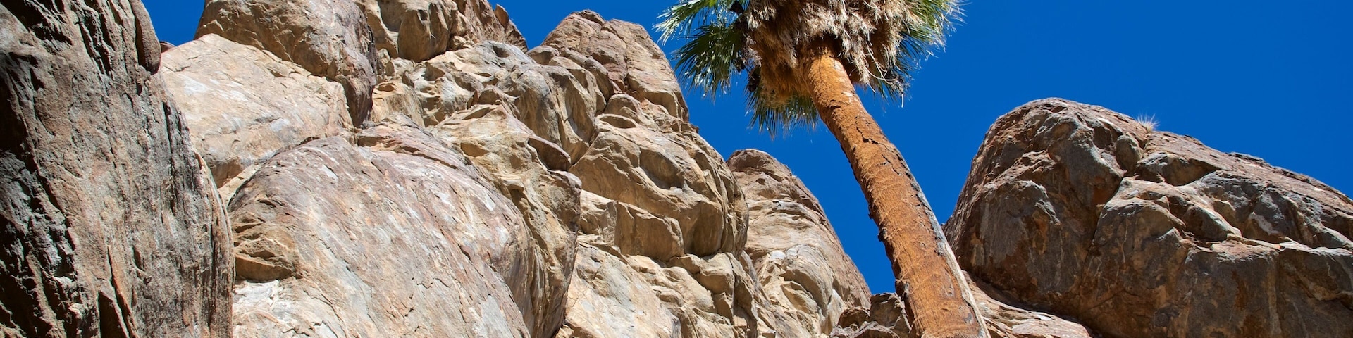 Indian Canyon featuring a gorge or canyon