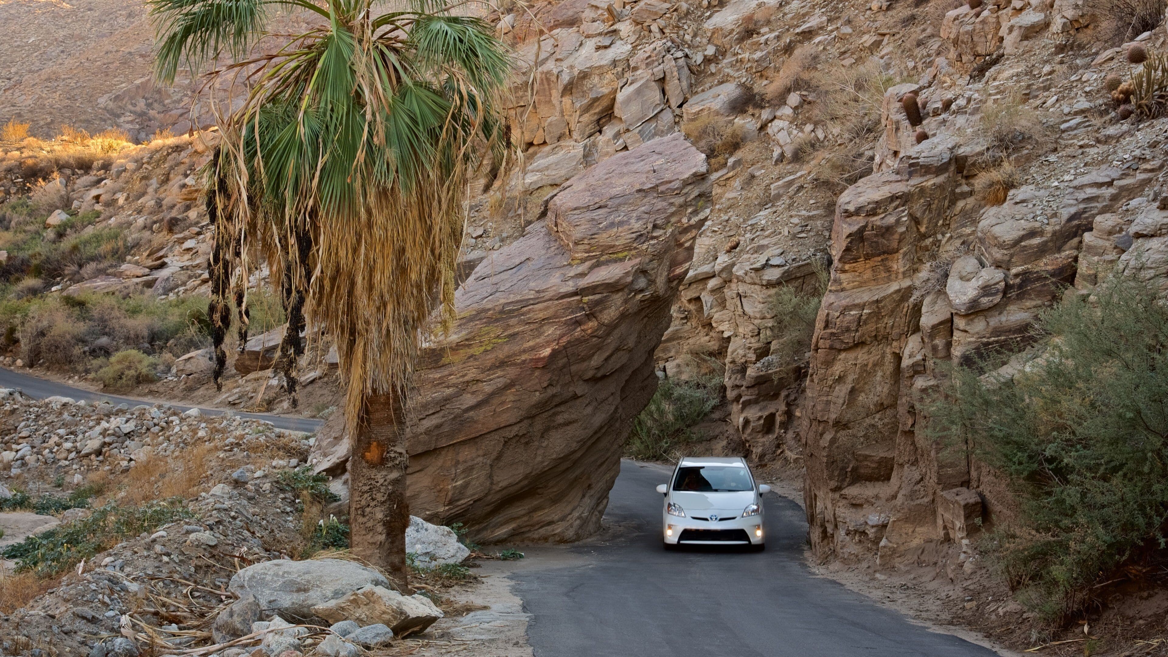 Indian Canyon showing a gorge or canyon