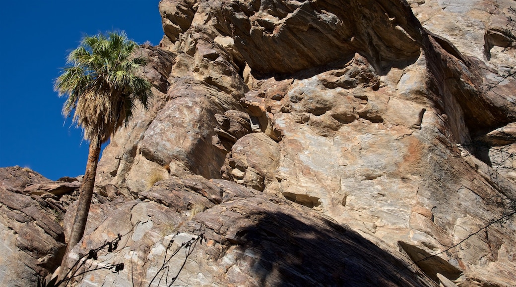 Indian Canyon which includes a gorge or canyon