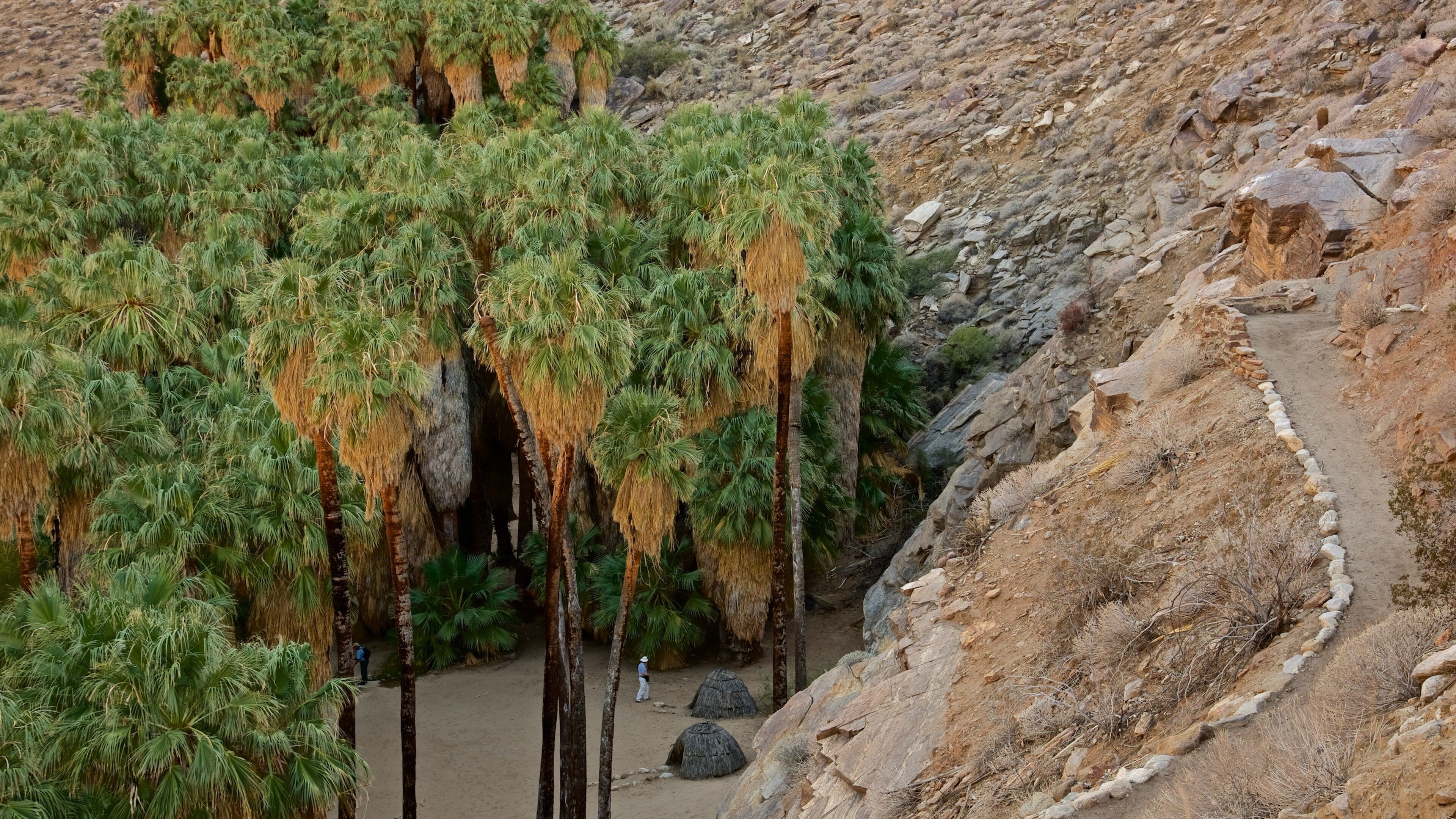 Indian Canyon which includes tranquil scenes