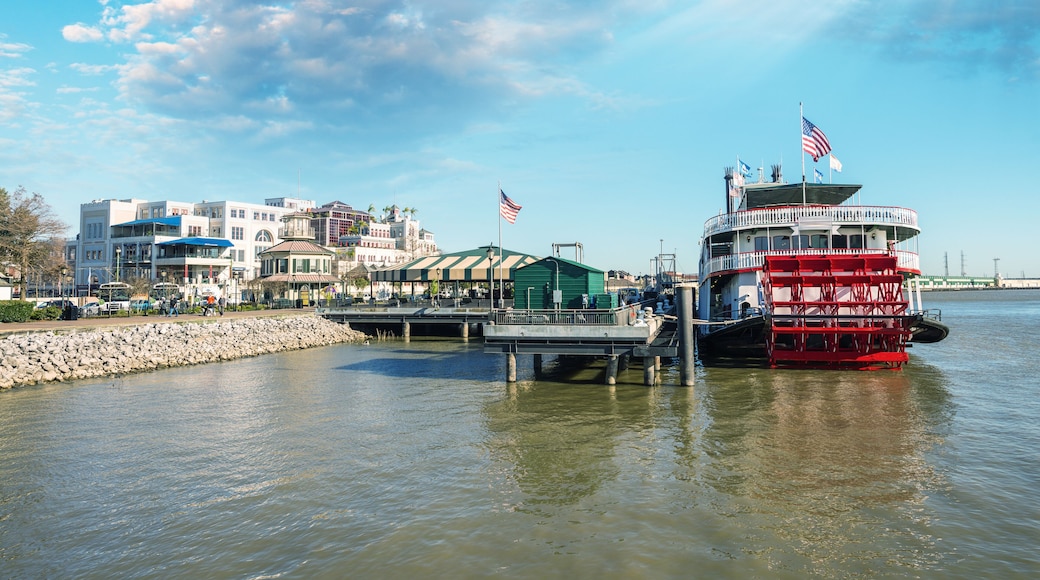 Docked steamboat in New Orleans
