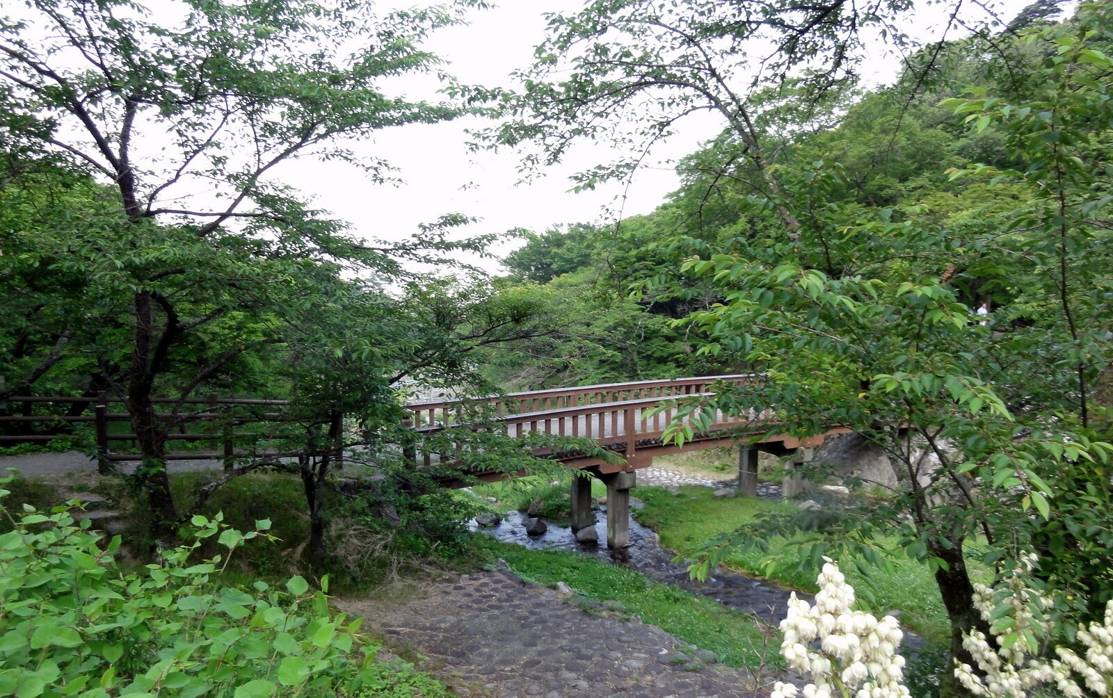 Yorokoen, Yoro, Yoro District, Gifu Prefecture 503-1254, Japan