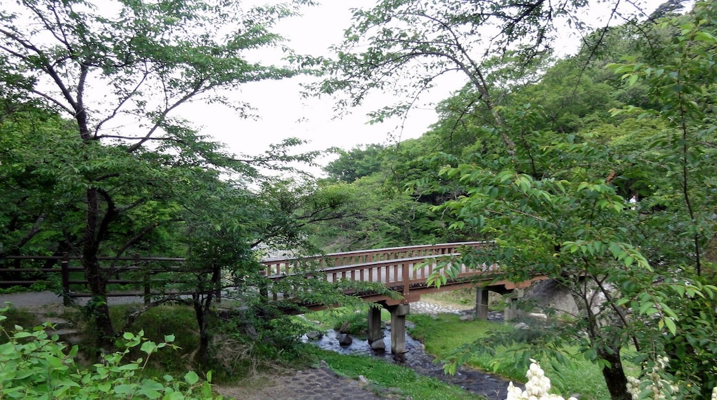 Yorokoen, Yoro, Yoro District, Gifu Prefecture 503-1254, Japan