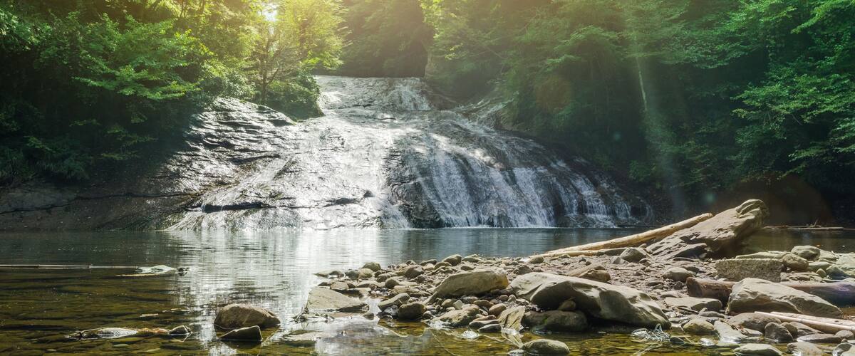 A waterfall cascading into a clear river surrounded by dense forest.