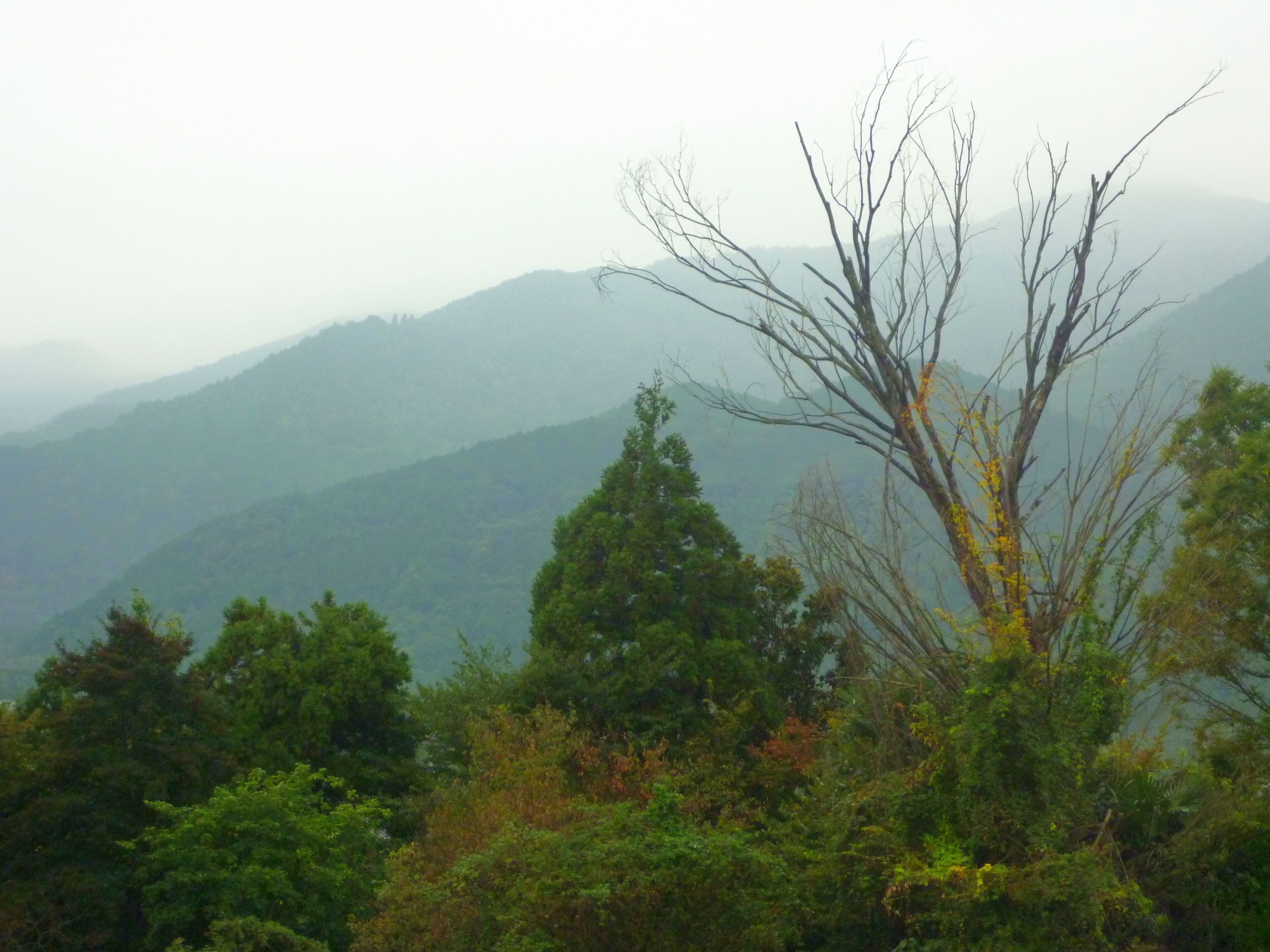 岐阜県養老郡養老町
