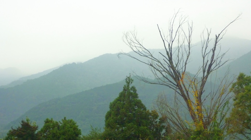 岐阜県養老郡養老町