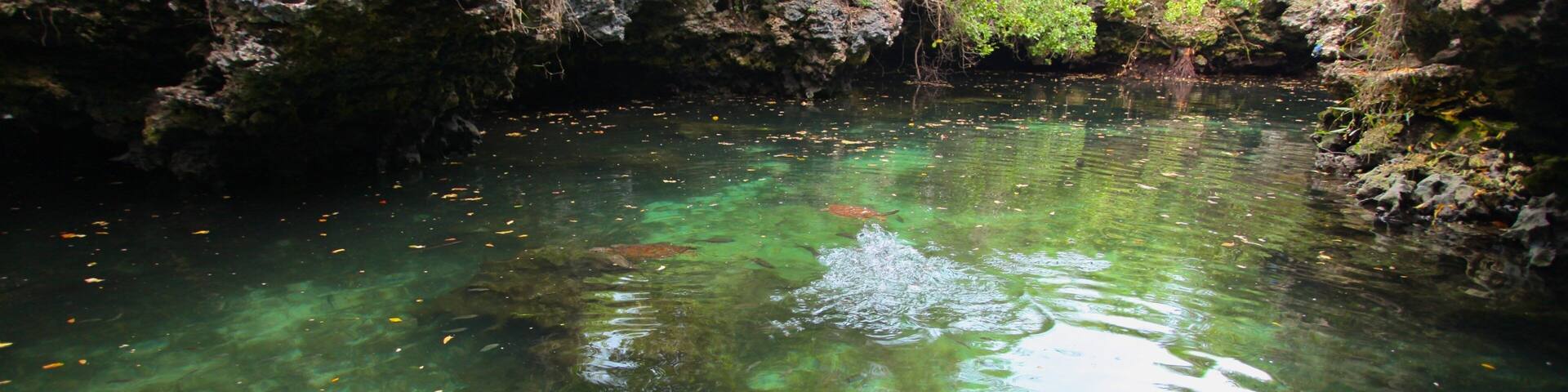 Mnarani mettant en vedette mare et vie marine aussi bien que homme