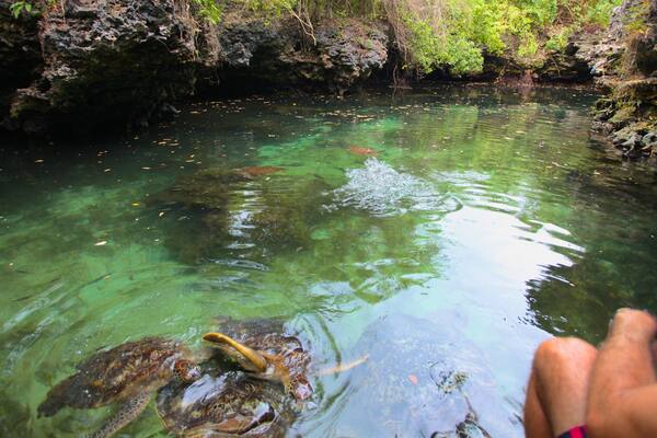 Mnarani mettant en vedette mare et vie marine aussi bien que homme