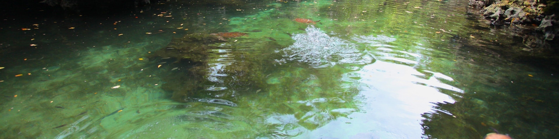 Mnarani Natural Aquarium que inclui vida marinha e um lago assim como um homem sozinho