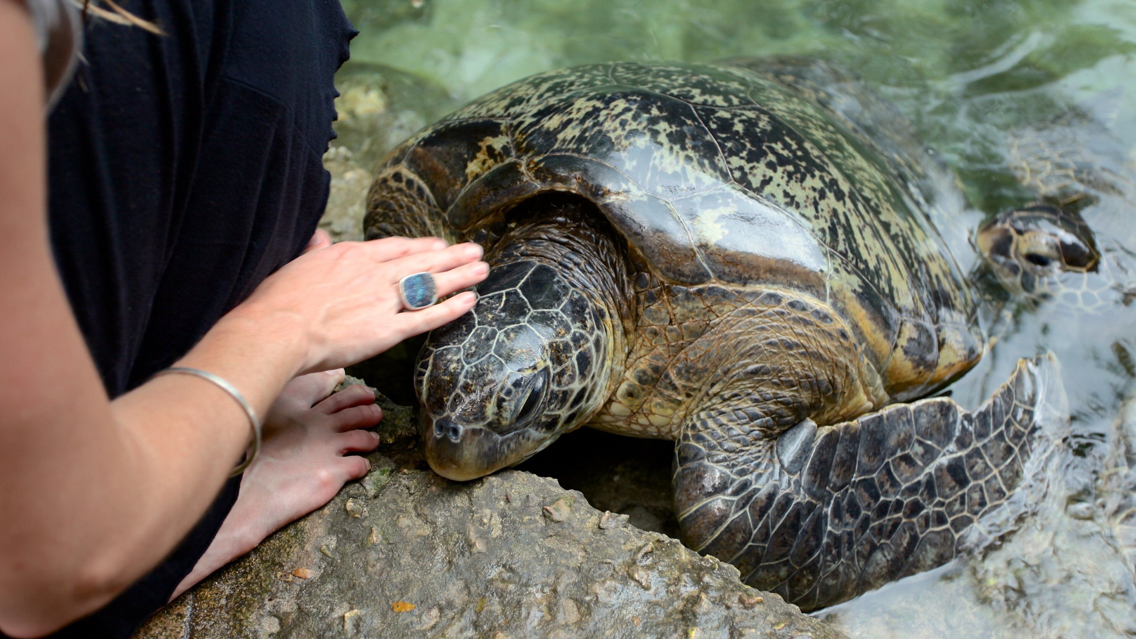 Mnarani Naturaquarium