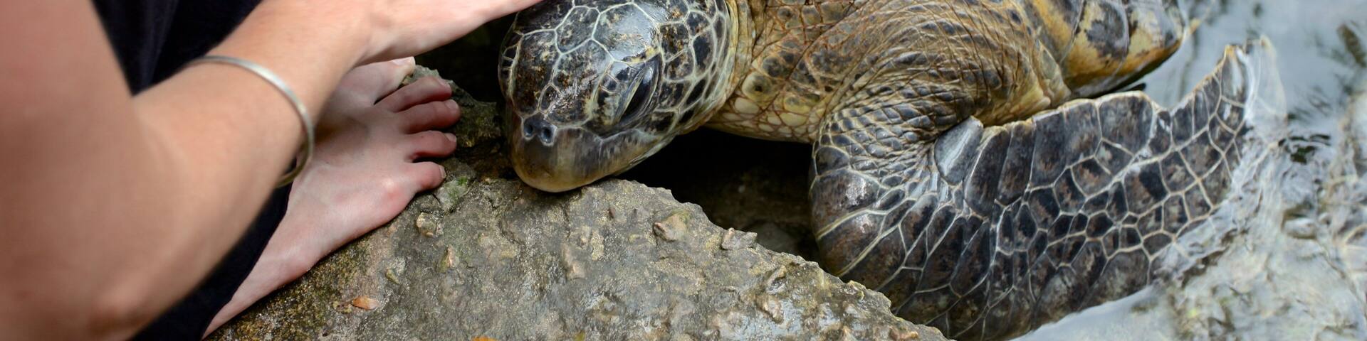 Mnarani Natural Aquarium