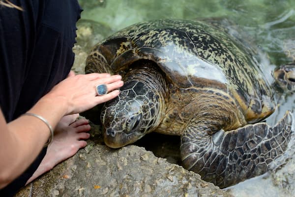 Mnarani Natural Aquarium
