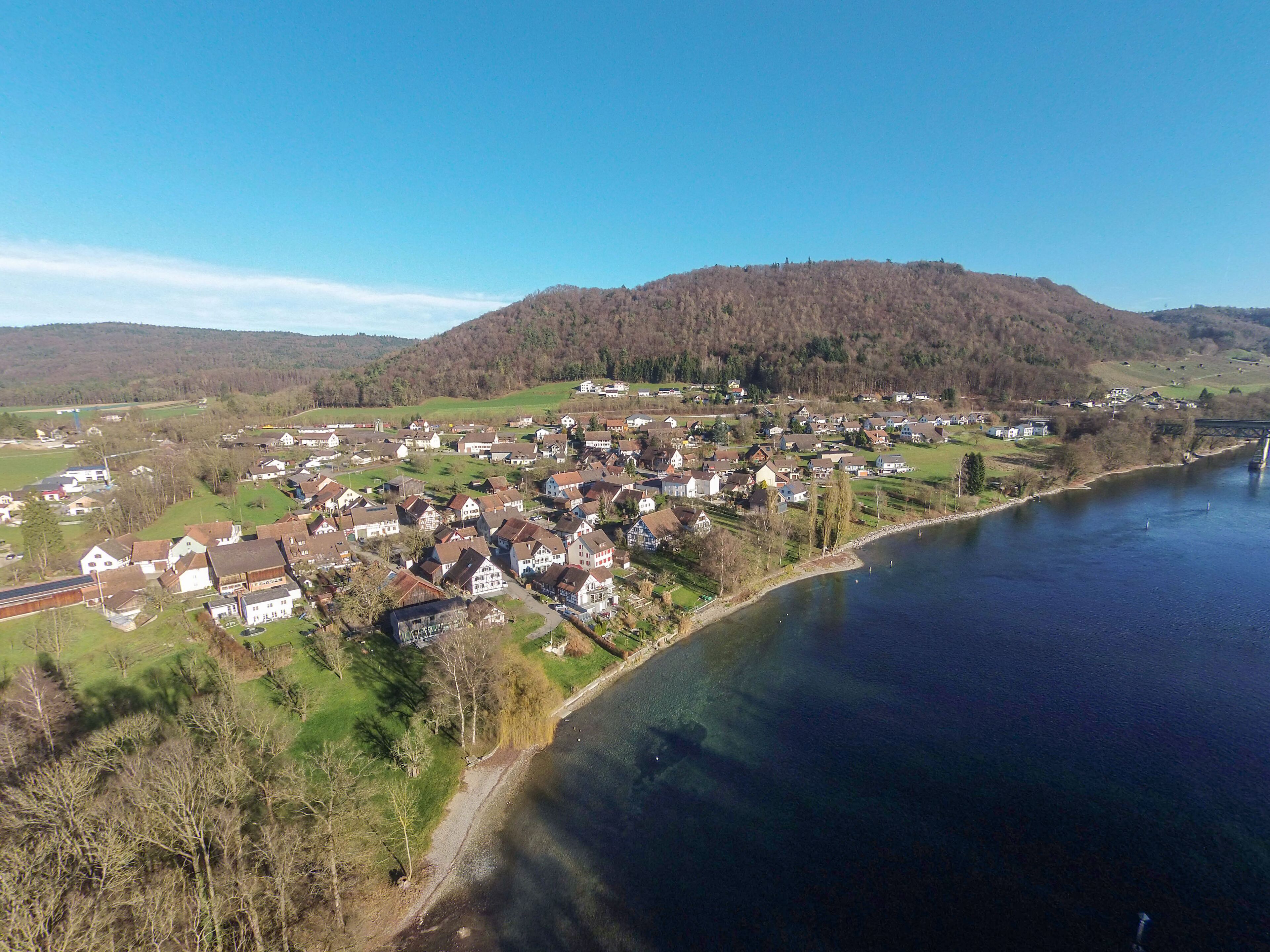 A riverside village with houses, a bridge, and a forested hill in the background.