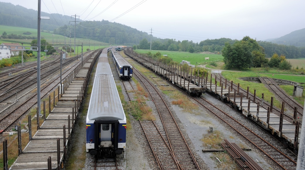 Switzerland, Thurgau, Etzwilen station of the Winterthur-Etzwilen railway line after 14 coaches were set on fire.