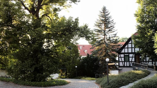 Baykyard of Castle Schweinsburg in Neukirchen/Pleiße, near Zwickau, Saxonia, Germany