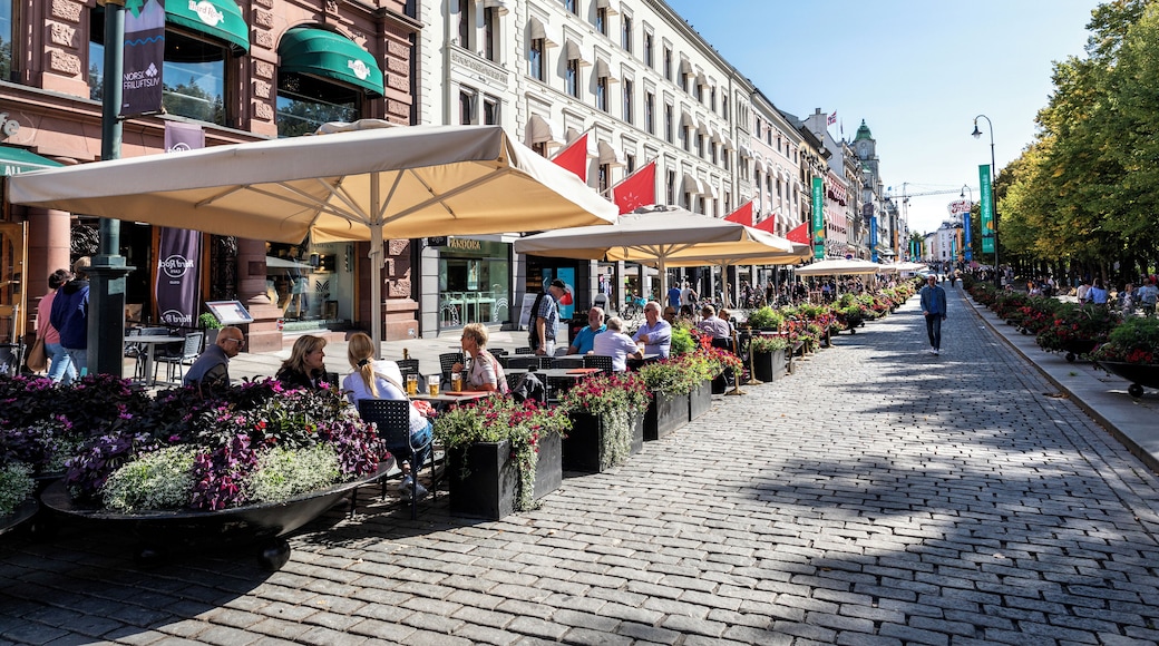 Karl Johan Street