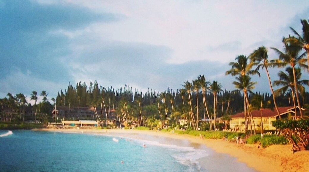 #Napili #Bay
#Maui #Hawaii
🌊🌊🌊🌊🌊🌊