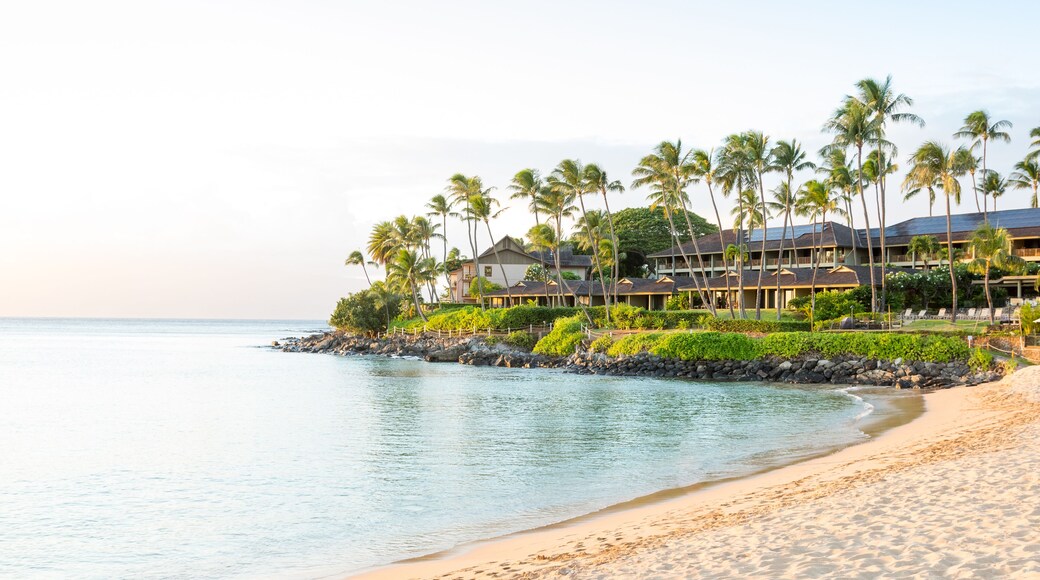 Resort in Napili Bay on Maui, Hawaii, Shutterstock ID 758213590, purchase_order: SP-1269 HA 2018 Batch 1, Order: , client: , other: