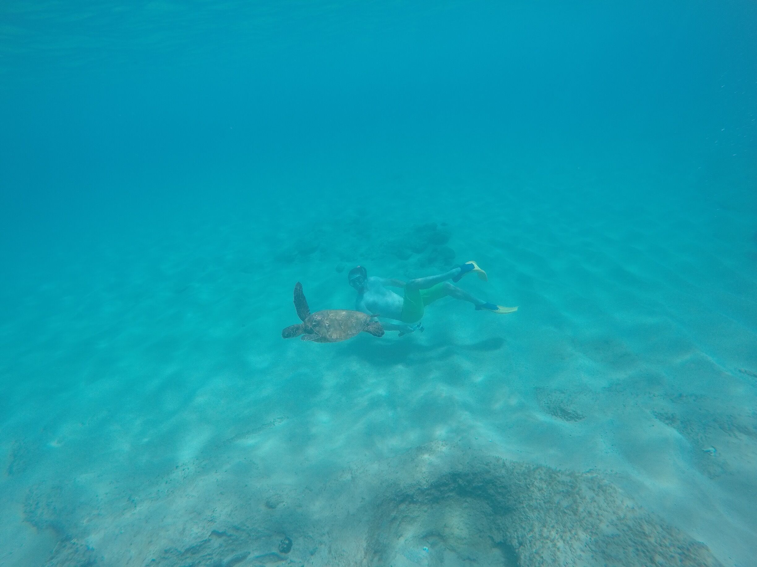 Really good coral once you get out of the bay. Pass through and get to the deeper water to see the amazing sites!