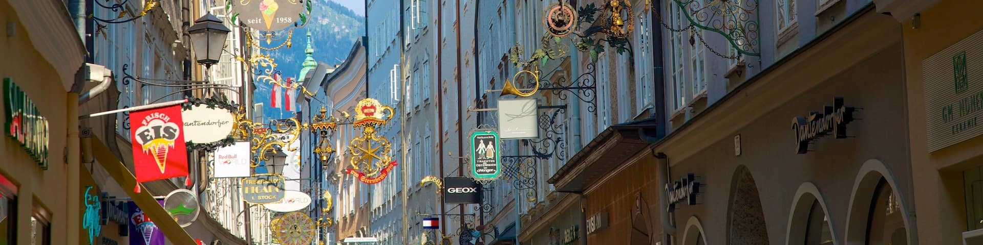 Getreidegasse showing signage, street scenes and heritage architecture