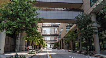 بيتش تري سنتر