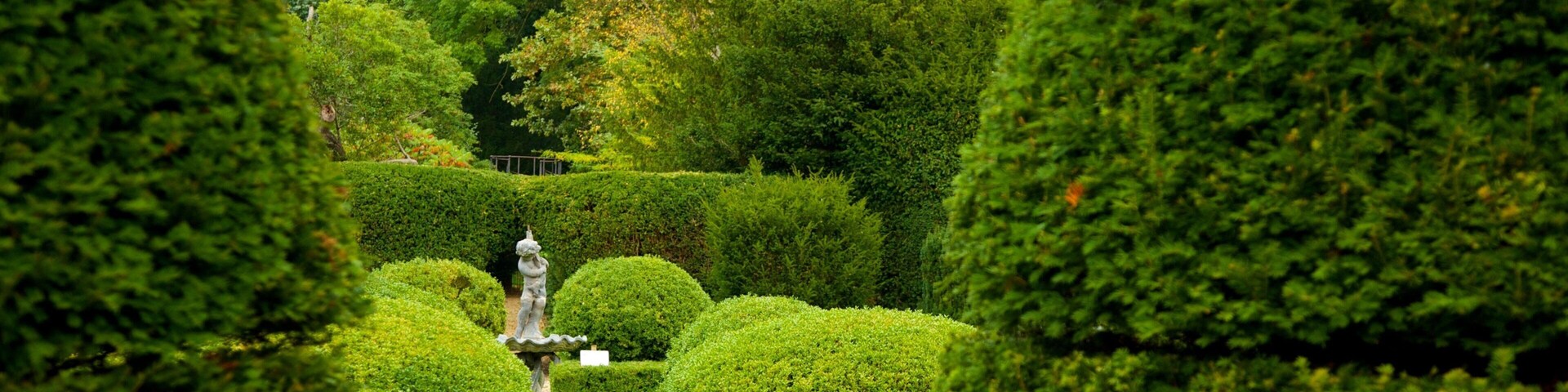 Bridge End Gardens featuring a garden