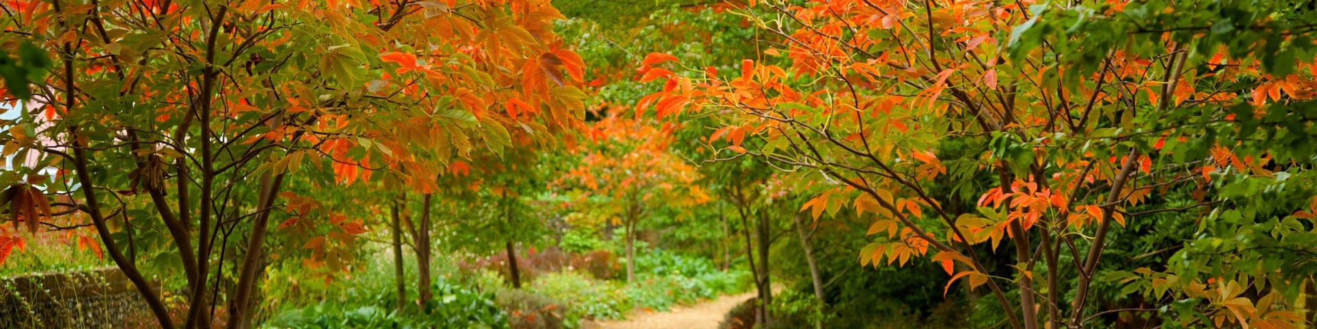 Bridge End Gardens which includes a garden and fall colors